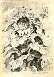 ŠVABINSKÝ Maxmilián: „Slunečnice III.“, bar. lito.