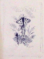 ŠVABINSKÝ Maxmilián: „Parnassius Apollo (malý)“, lito.