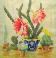 PŘIKRYL-PIRKHOFF Viktor (1875-1962): Rozkvetlý kaktus.