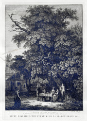 POSTL Karel (1774-1818): Společnost pod vysokým stromem.
